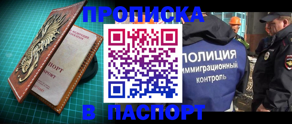 прописка в Бердске